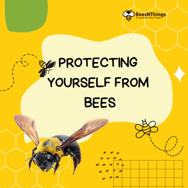 Protecting Yourself From Bees