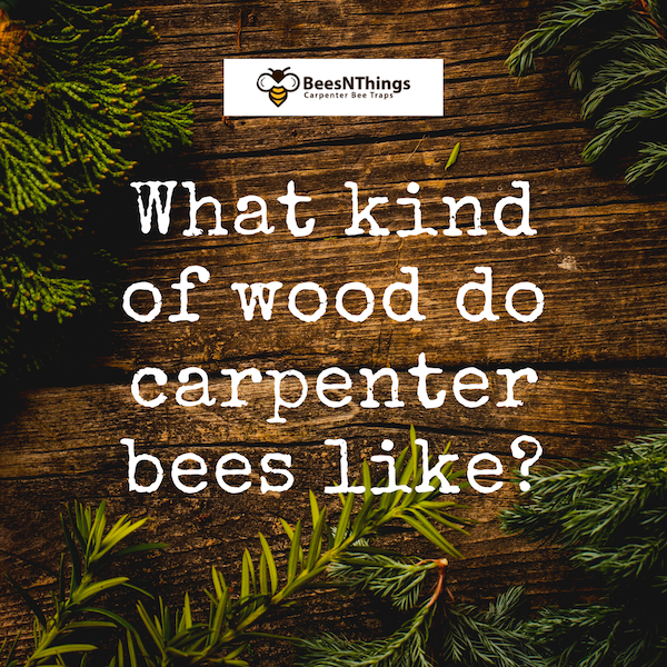 What kind of wood do carpenter bees like?