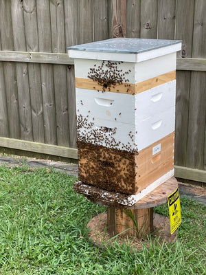 Local Raw Honey - 1 Pound